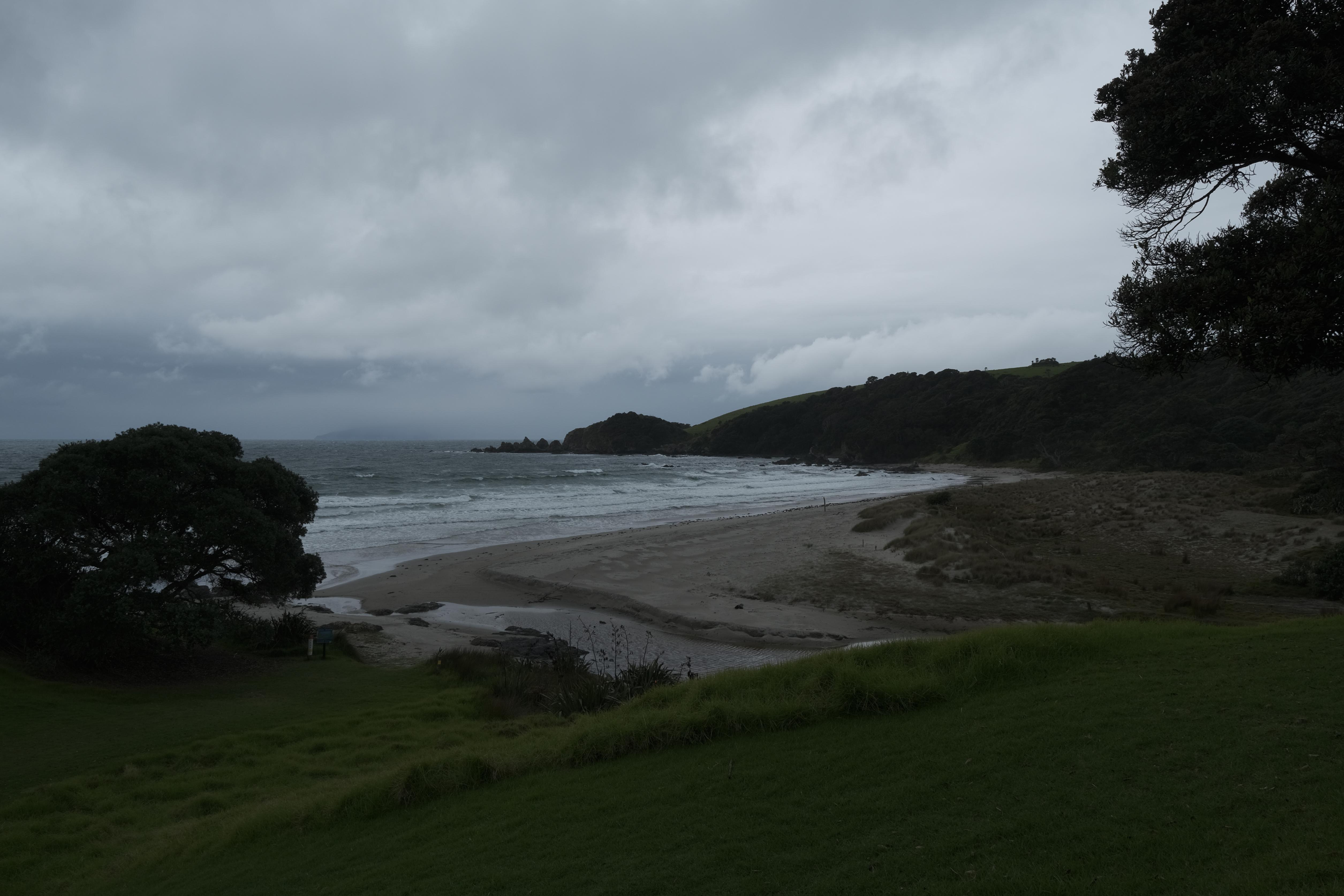 image of green grass sloping down to beach on a gloomy day