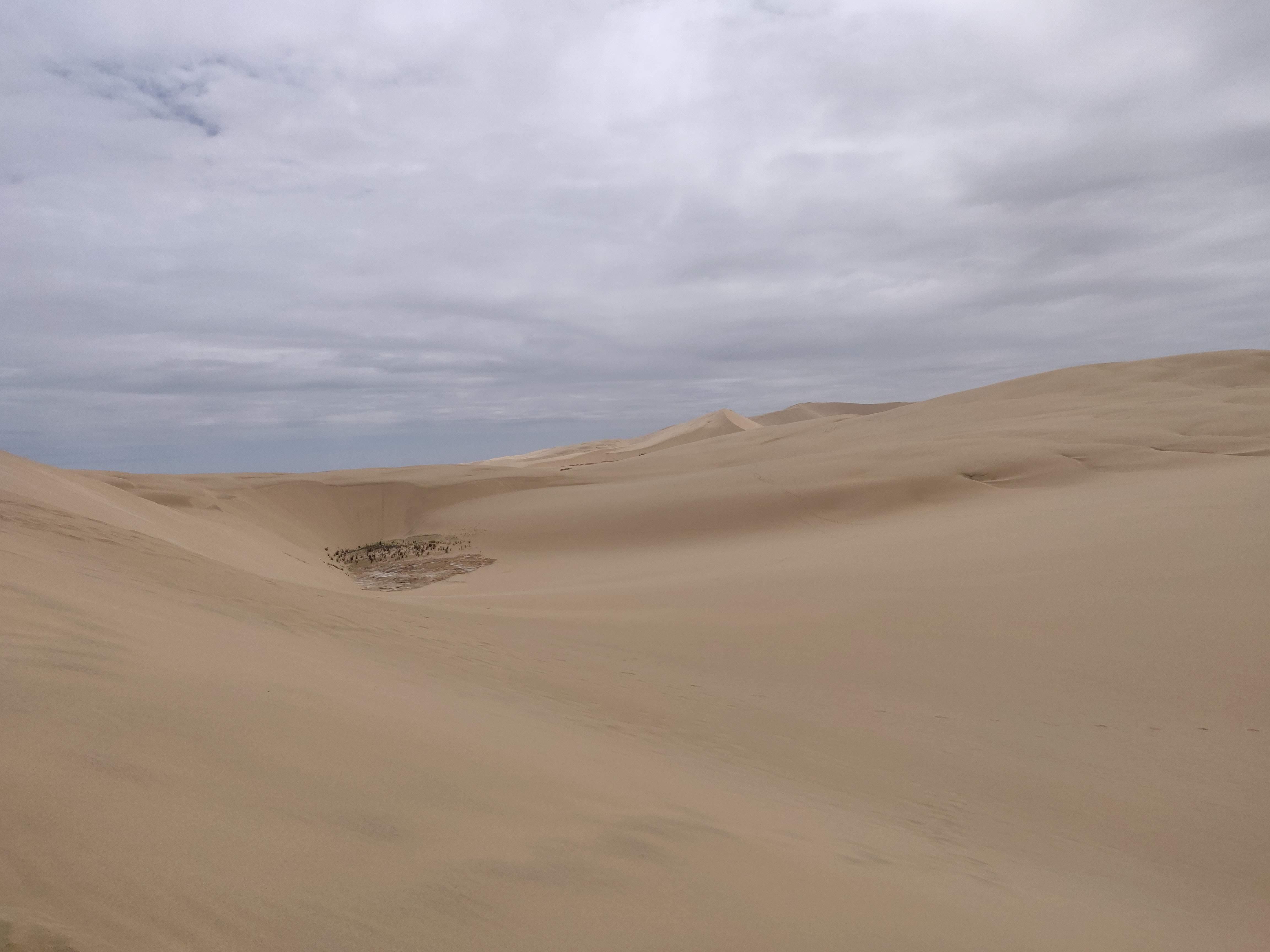image of a landscape of endless desert dunes
